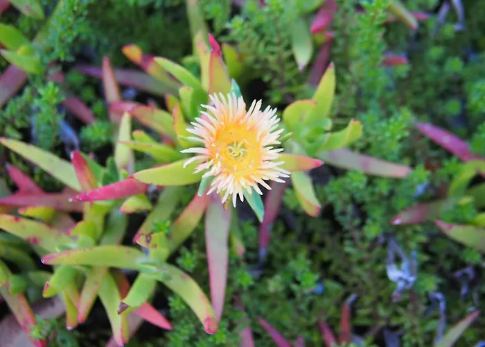 Hilltop Studios Margaret River